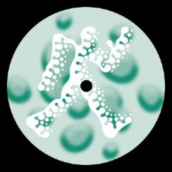 画像クリックで詳細表示。Click to more info.