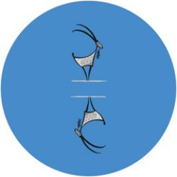 画像クリックで詳細表示。Click to more info.