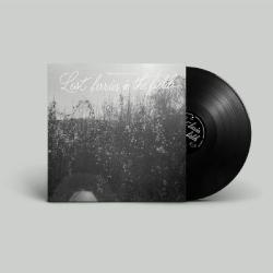 画像クリックで詳細表示。Click to more info.