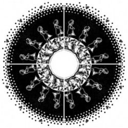 画像クリックで詳細表示。Click to more info.