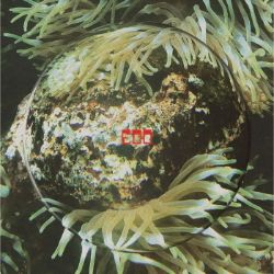 画像クリックで詳細表示。Click to more info.