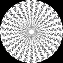 画像クリックで詳細表示。Click to more info.