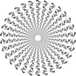 画像クリックで詳細表示。Click to more info.