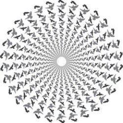 画像クリックで詳細表示。Click to more info.