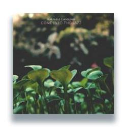 画像クリックで詳細表示。Click to more info.