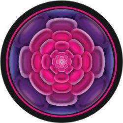 画像クリックで詳細表示。Click to more info.
