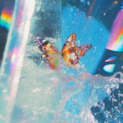 画像クリックで詳細表示。Click to more info.