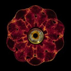 画像クリックで詳細表示。Click to more info.