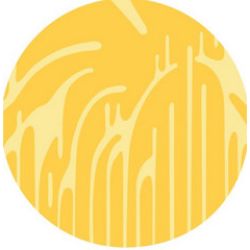 画像クリックで詳細表示。Click to more info.