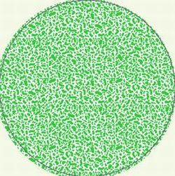 画像クリックで詳細表示。Click to more info.
