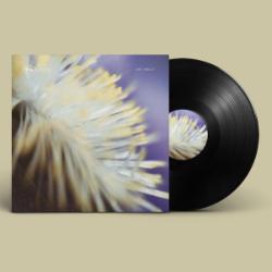 画像クリックで詳細表示。Click to more info.