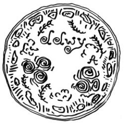 画像クリックで詳細表示。Click to more info.