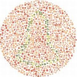 画像クリックで詳細表示。Click to more info.