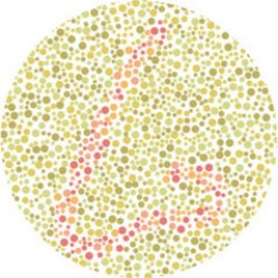 画像クリックで詳細表示。Click to more info.