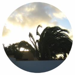 画像クリックで詳細表示。Click to more info.