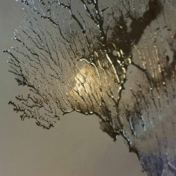 画像クリックで詳細表示。Click to more info.